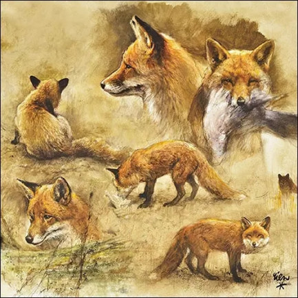 Ambiente ランチサイズペーパーナプキン ☆キツネの肖像画 動物(Portraits Of Foxes)☆（20枚入り）