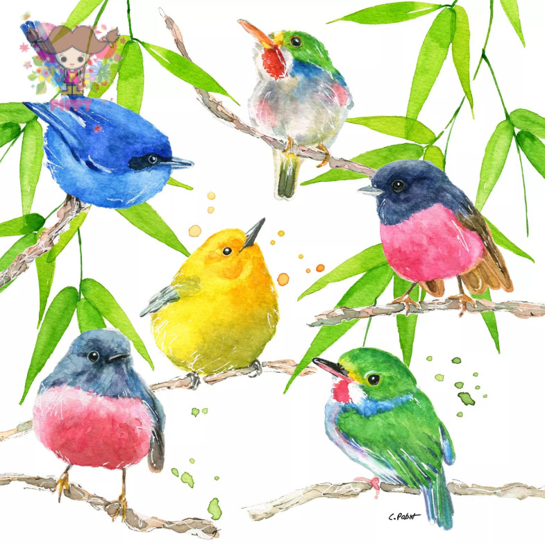 PPD ランチサイズペーパーナプキン ☆カラフルな小鳥のパラダイス 鳥 (Bird Paradise)☆（20枚入り）