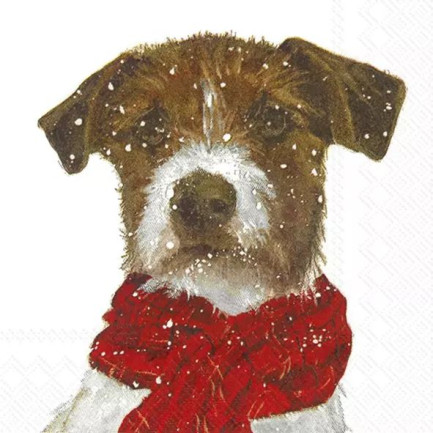 IHR  ランチサイズペーパーナプキン☆赤いマフラーの犬 雪 動物（ARCHIE）☆（20枚入り）