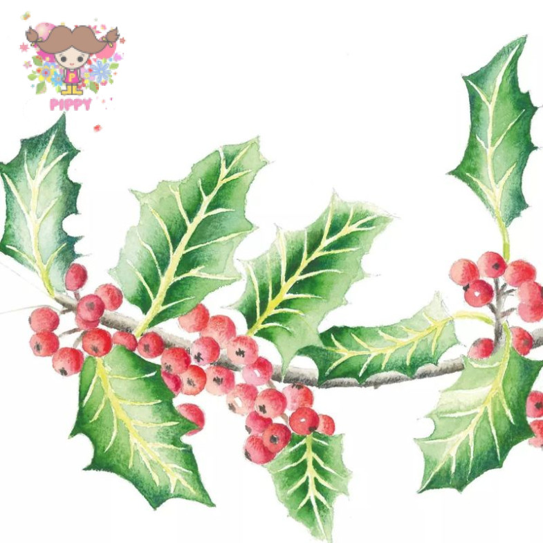 PPD ランチサイズペーパーナプキン ☆ヒイラギの枝 柊 クリスマス(Holly Branch)☆（20枚入り）