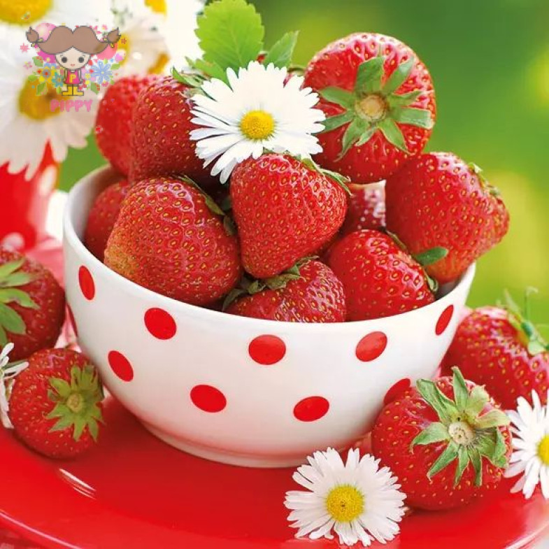 Ambiente ランチサイズペーパーナプキン ☆Strawberries In Bowl☆いちご ストロベリー 写真風 マーガレット 花柄（20枚入り）