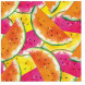 Paw Lunch napkins☆Juicy Watermelons☆（20 item） 