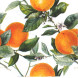 Fasana ペーパーナプキン☆Orange tree☆オレンジ フルーツ 花柄 ボタニカル（20枚入り)